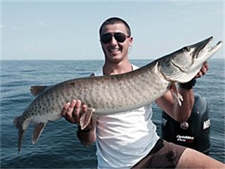muskie