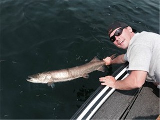 muskie-release
