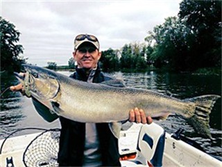 salmon2
