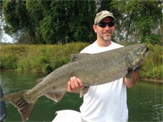 salmon6