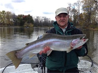 steelhead