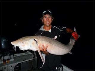 sturgeon